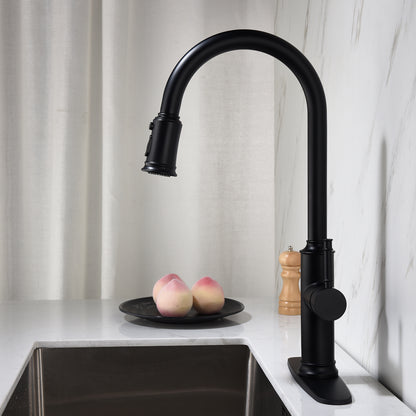 Contemporary Kitchen Faucet with Pull-Down Spray | Single Handle Stainless Steel