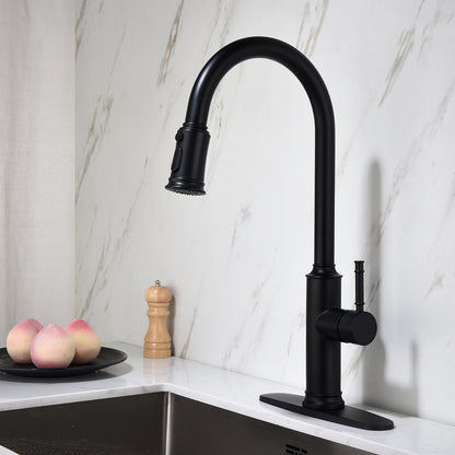 Contemporary Kitchen Faucet with Pull-Down Spray | Single Handle Stainless Steel