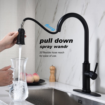 Contemporary Kitchen Faucet with Pull-Down Spray | Single Handle Stainless Steel